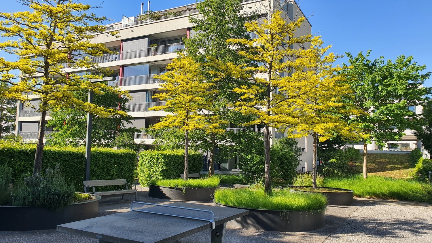 Stanza in un appartamento condiviso, foto 7 di 8