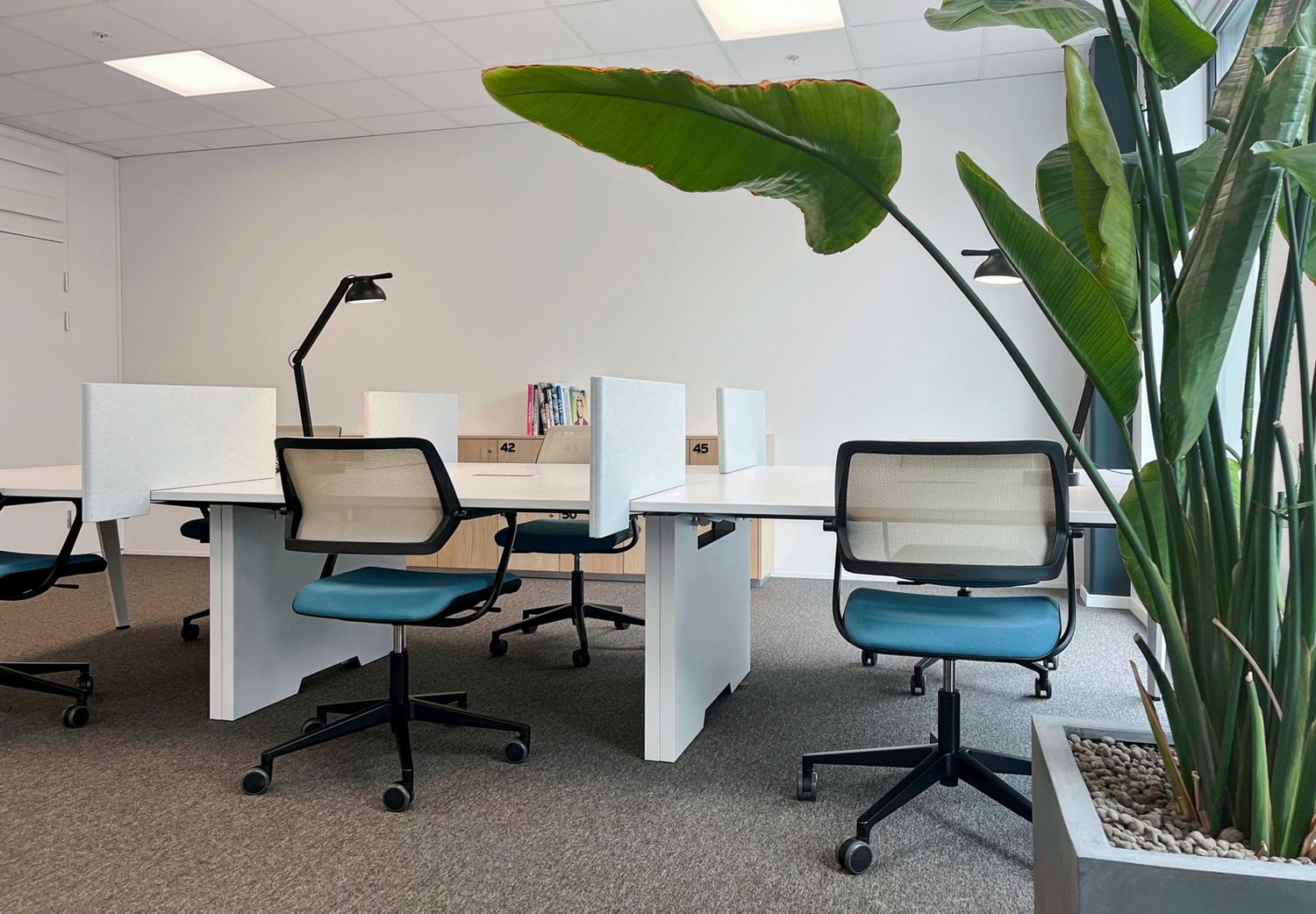 225m² ufficio
