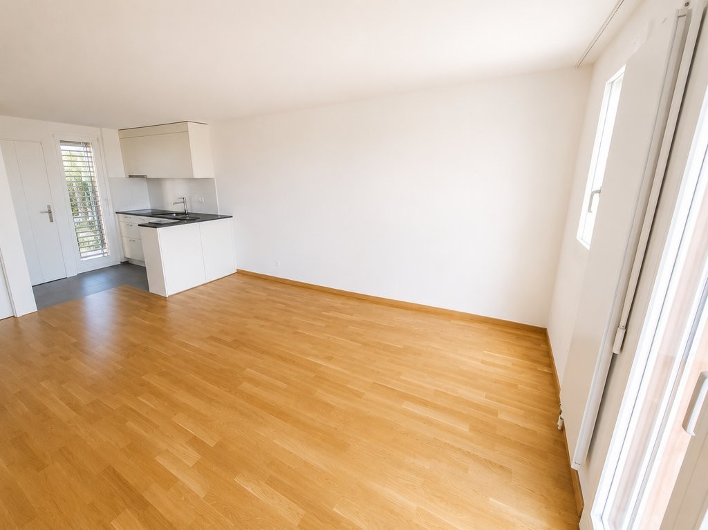appartamento di 2 ½ locali, foto 1 di 8