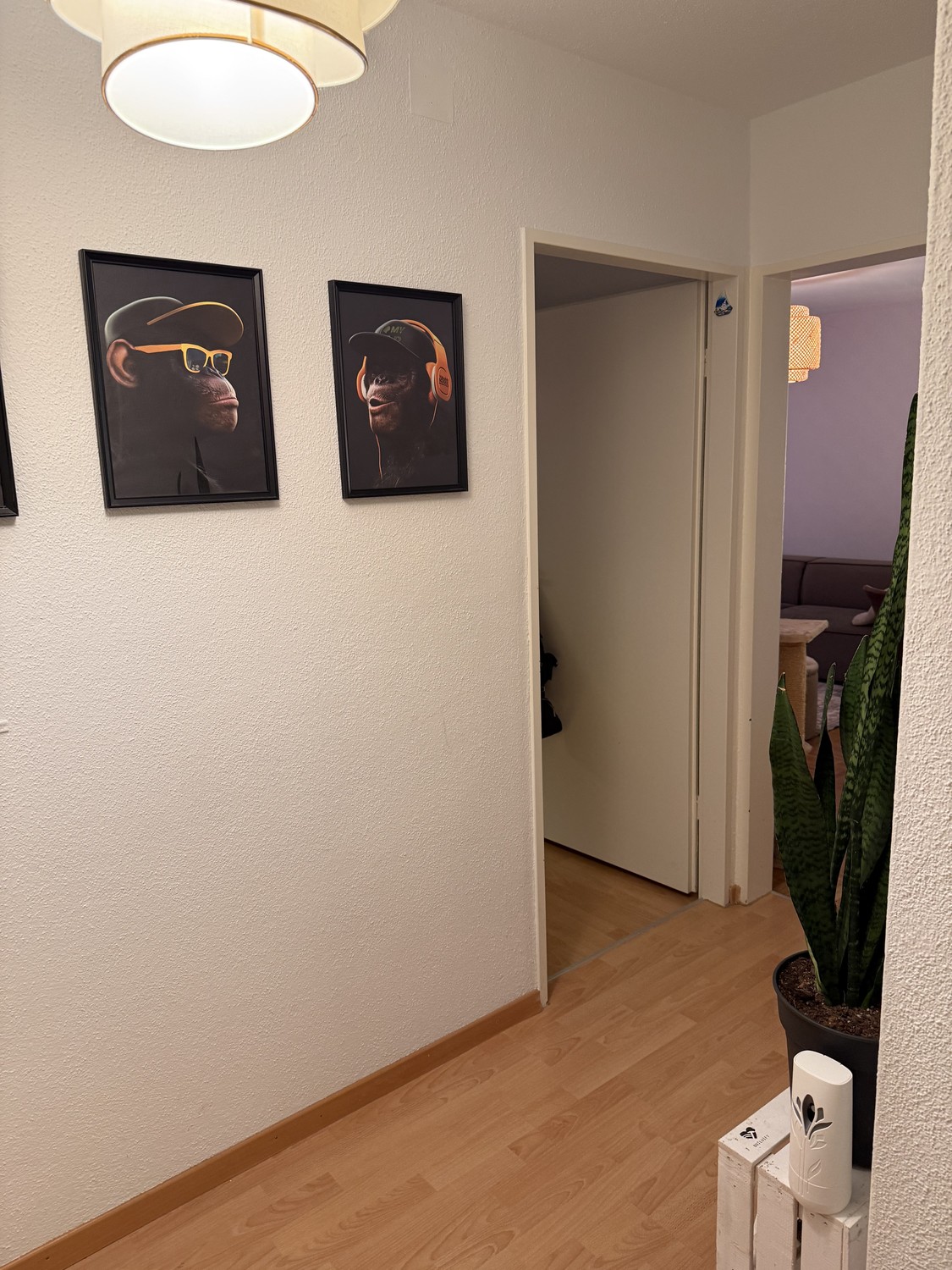 appartamento di 1 locali, foto 6 di 7
