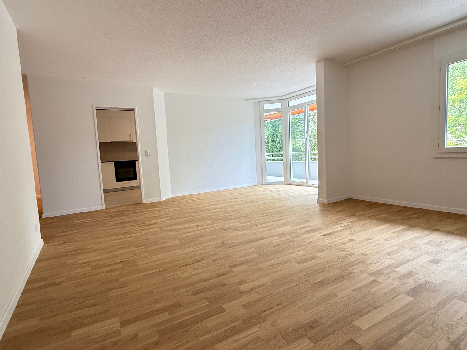 4 ½ rooms apartment