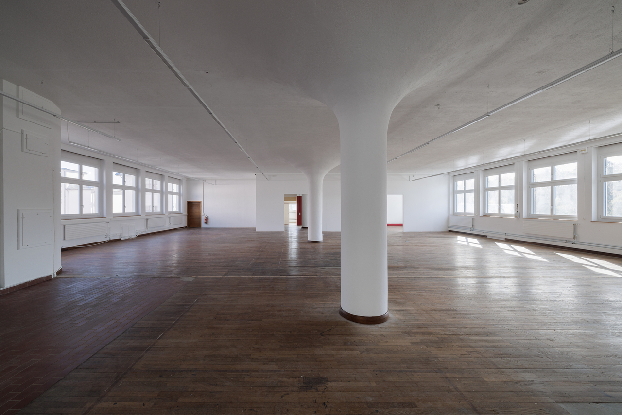 584m² commercial