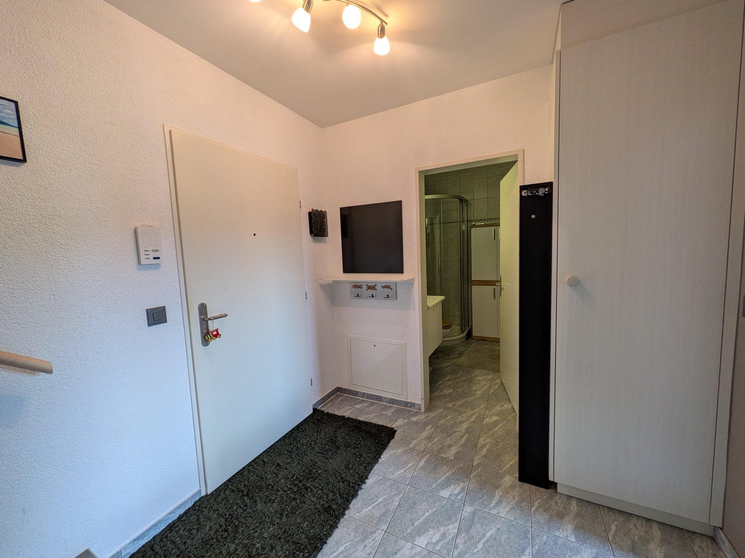 Appartamento arredato di 3 ½ locali