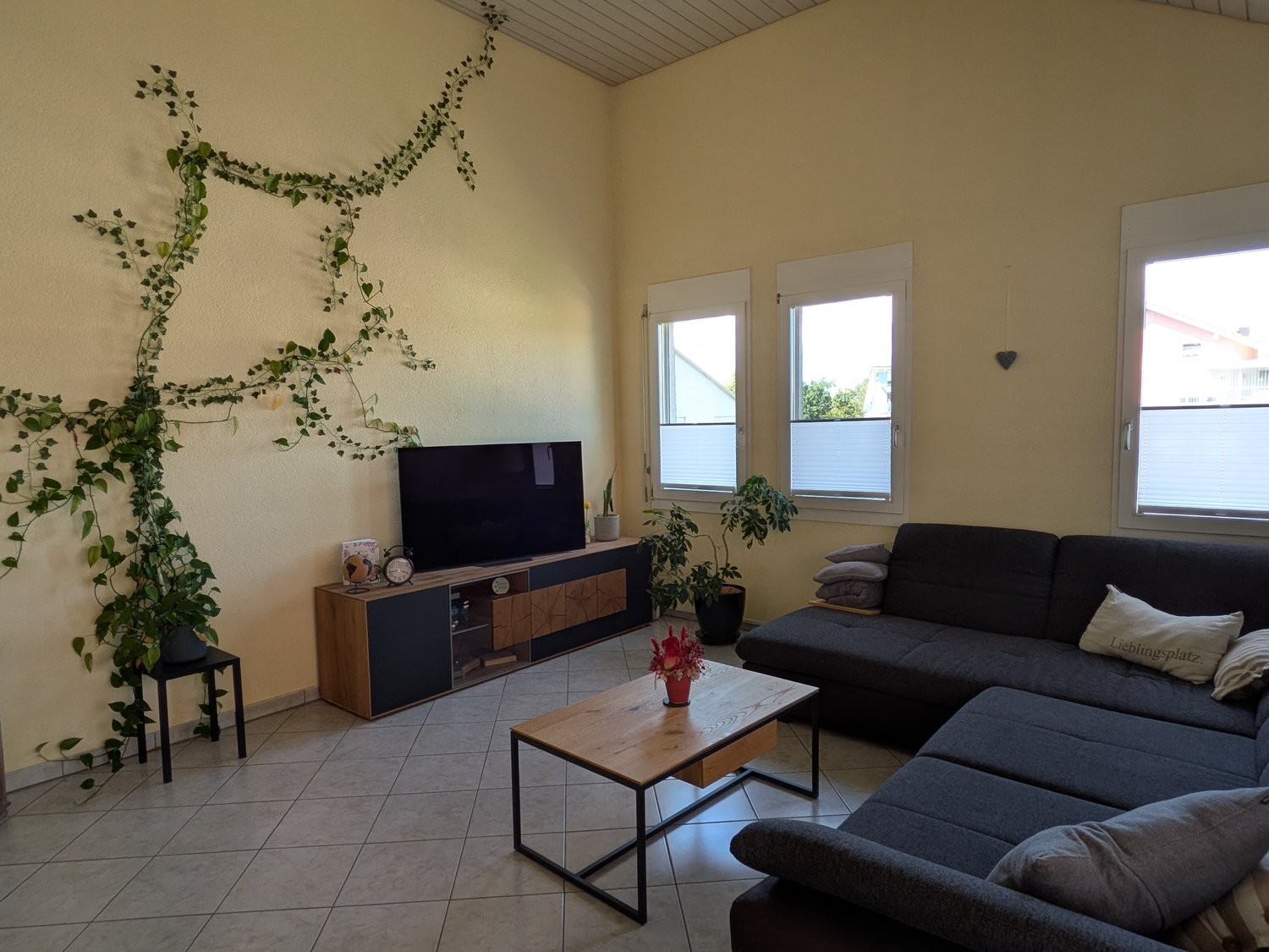Appartamento arredato di 3 ½ locali