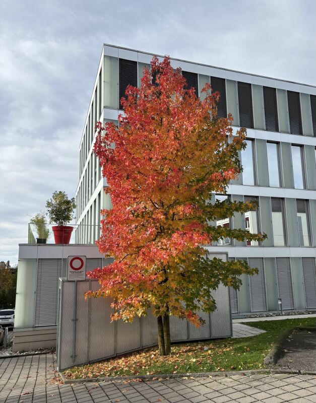 130m² Büro