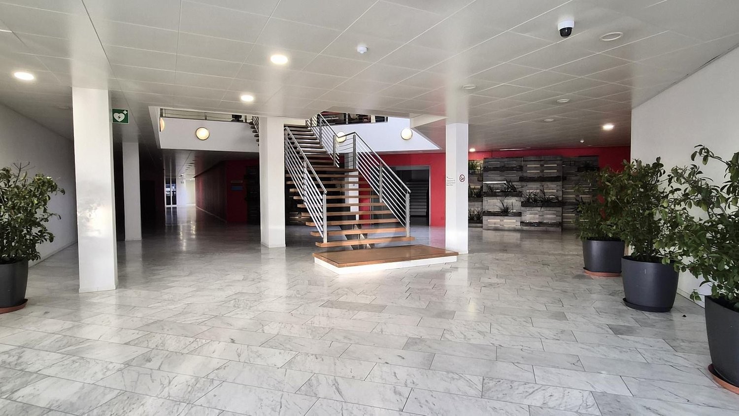 246m² ufficio