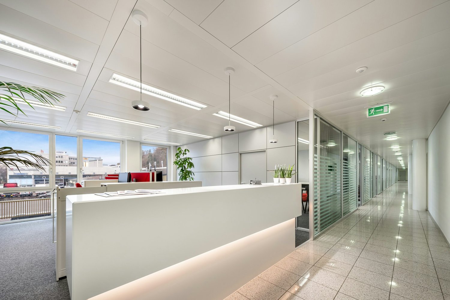 1129m² commercial