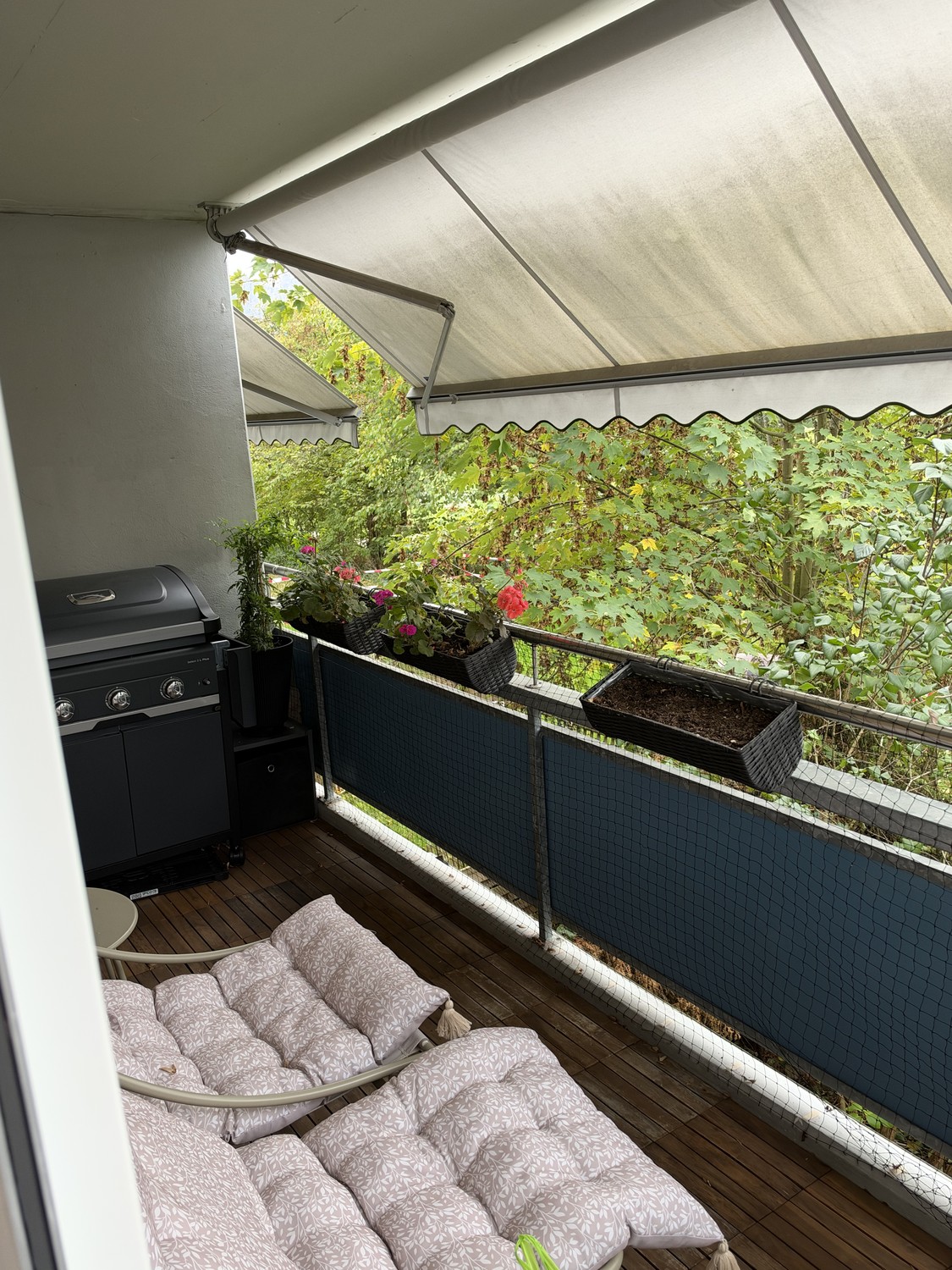 Appartamento di 2 ½ locali, foto 3 di 6