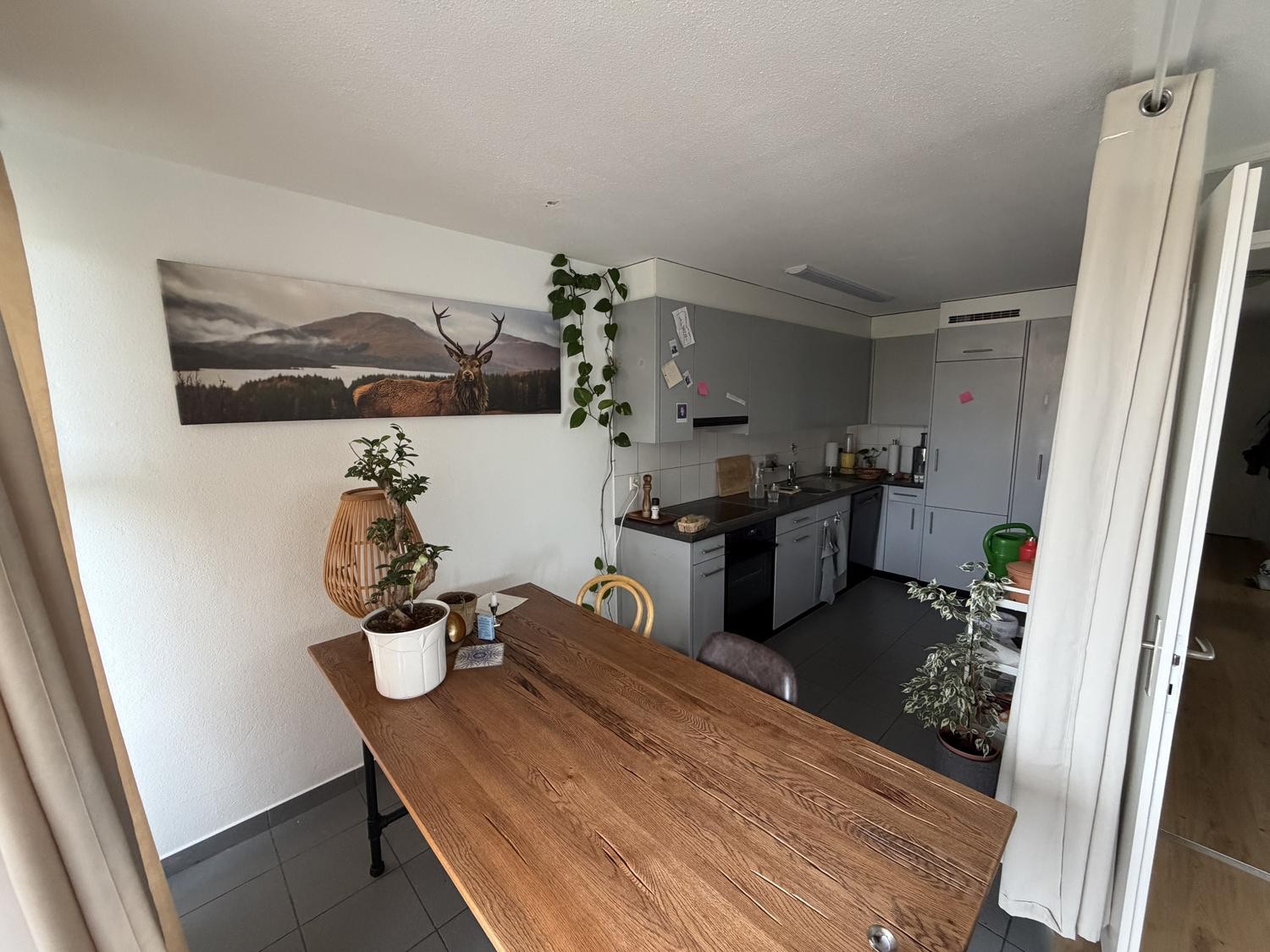 Appartamento di 2 ½ locali, foto 3 di 4