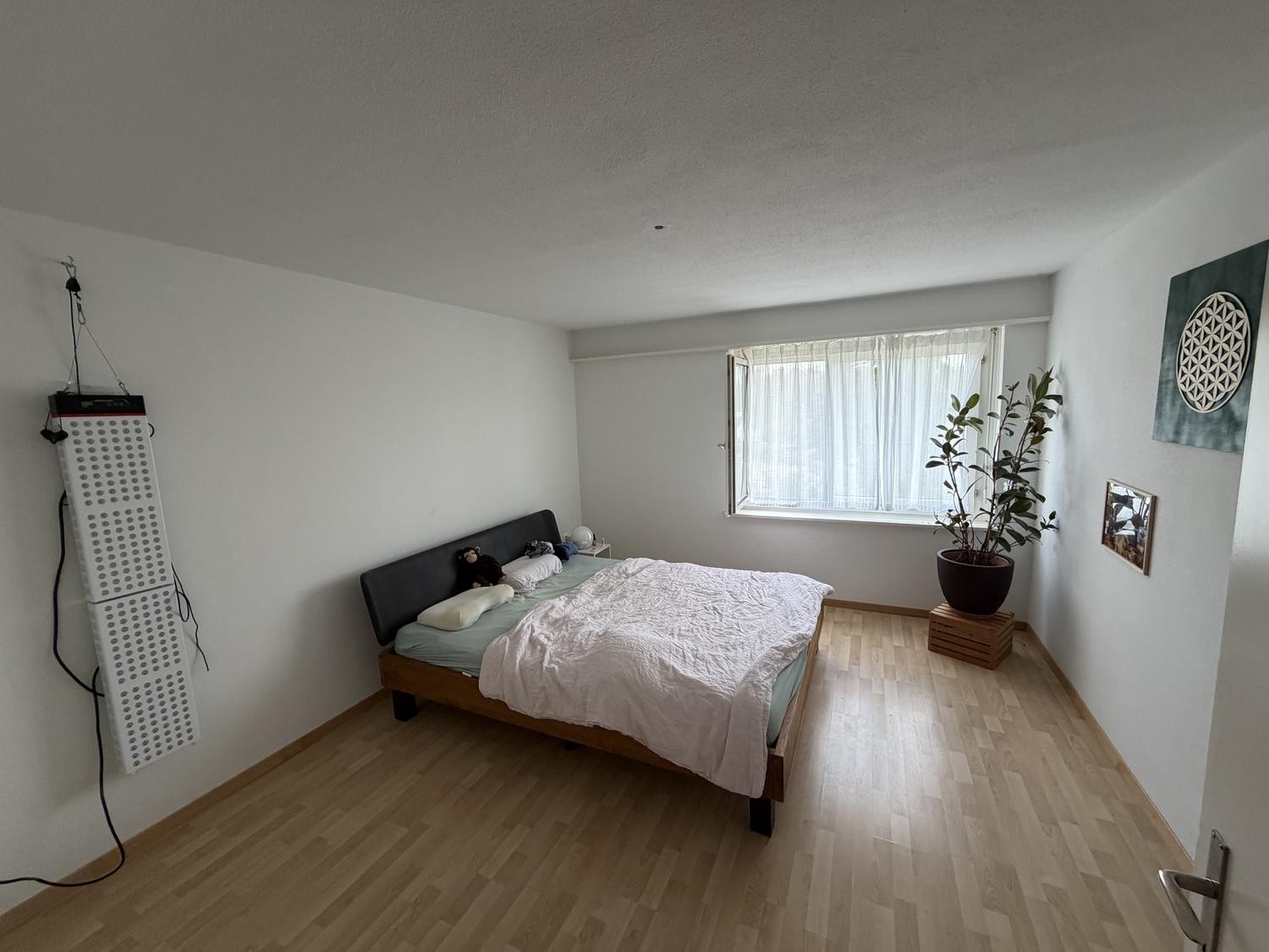 Appartamento di 2 ½ locali, foto 4 di 4