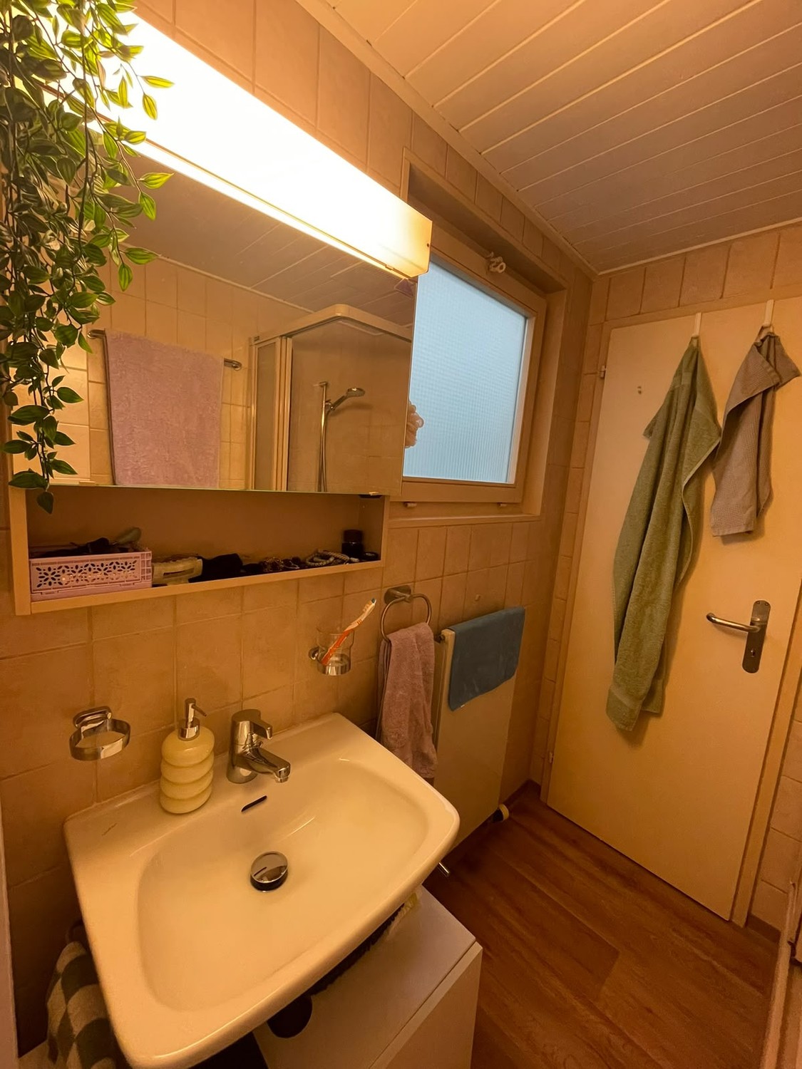 Appartamento di 1 ½ locali, foto 3 di 5