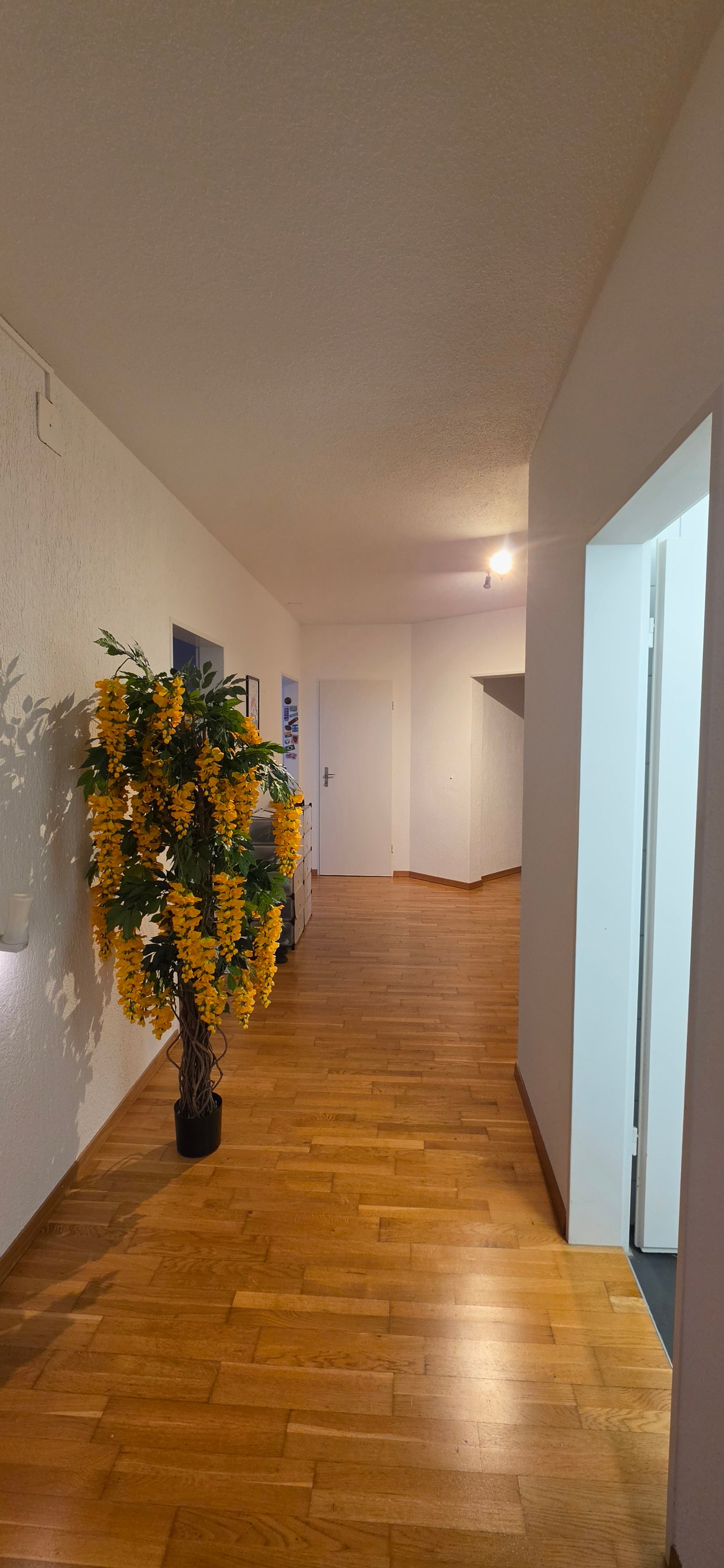 Camera in un appartamento condiviso, foto 5 di 10