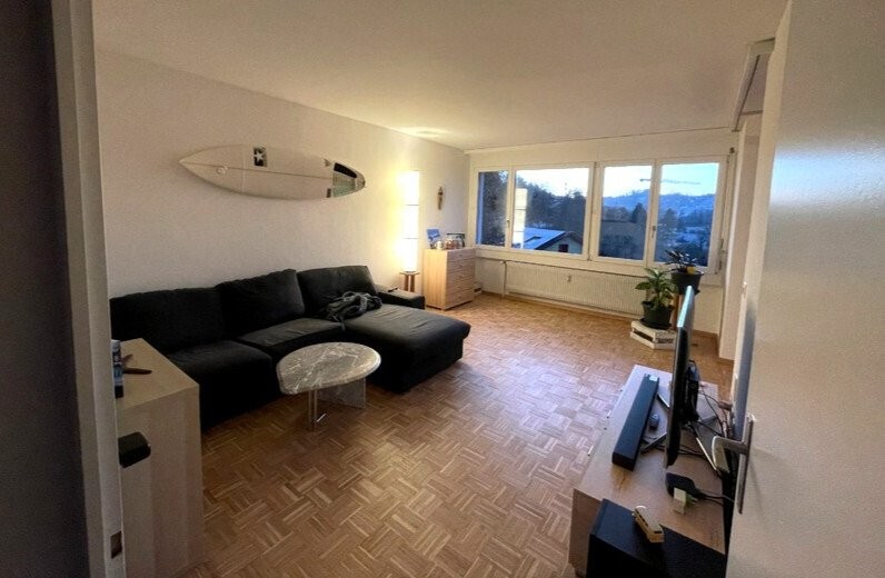 appartamento arredato di 2 ½ locali, foto 2 di 9