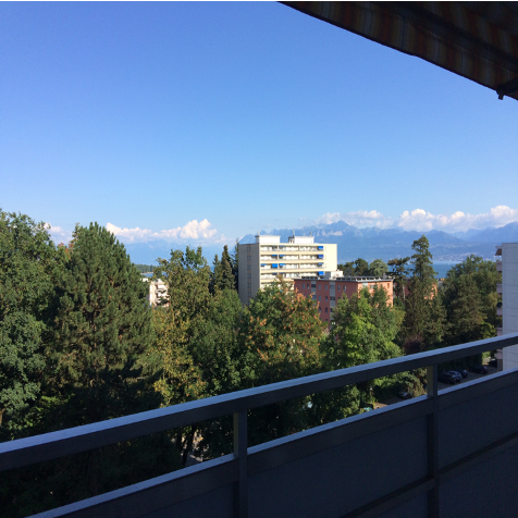 Appartamento di 3 ½ locali