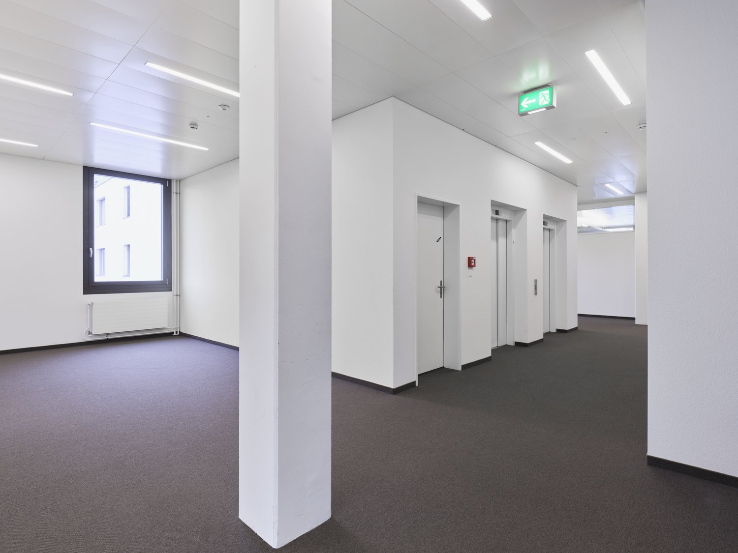 650m² office