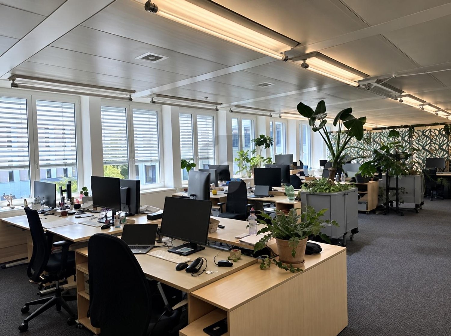 ufficio di 261m²