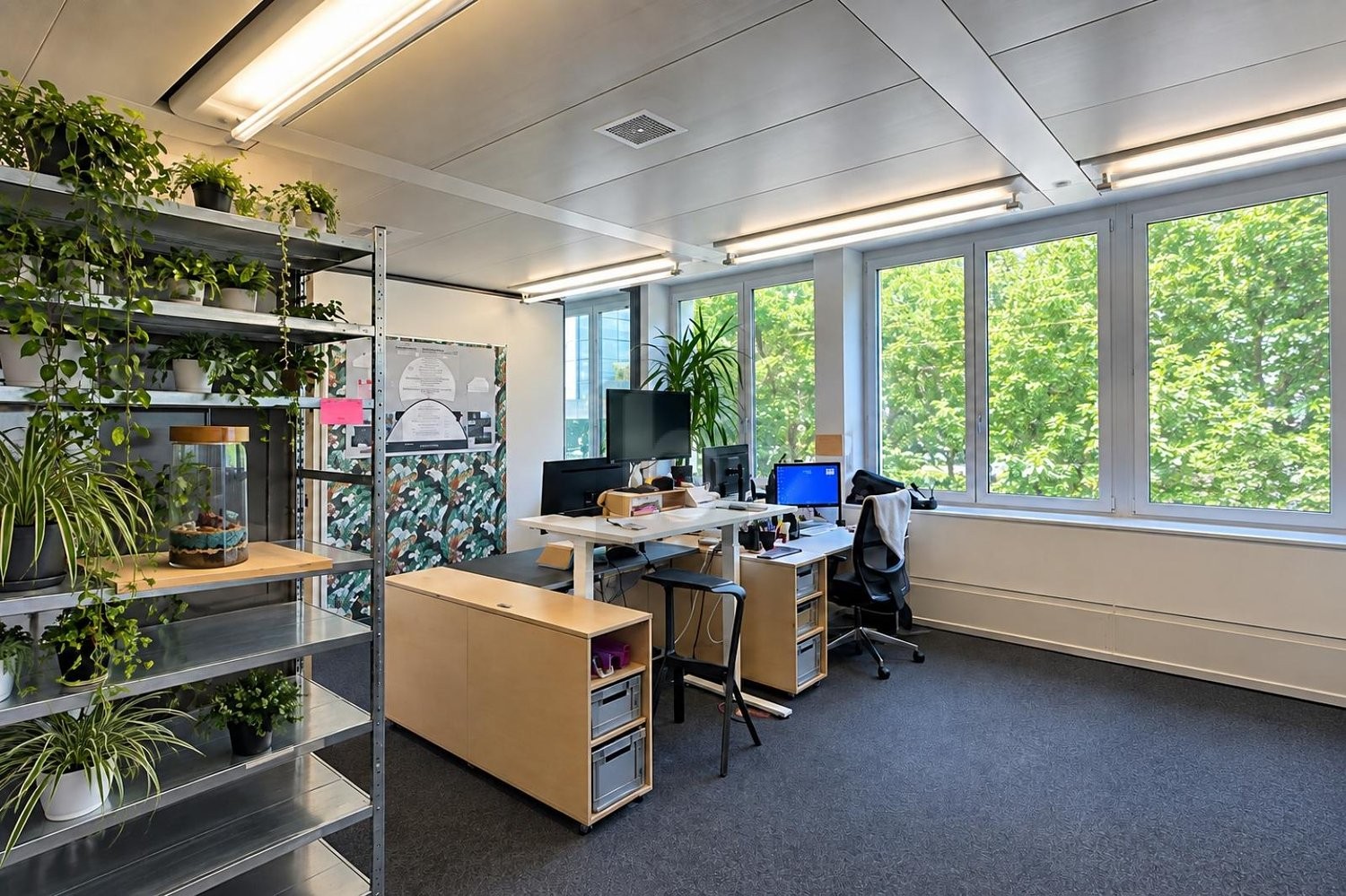 ufficio di 261m²
