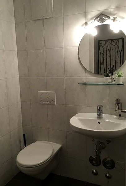 appartamento arredato di 2 ½ locali, foto 8 di 10