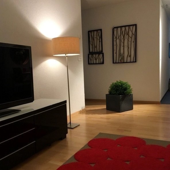 appartamento arredato di 2 ½ locali, foto 3 di 10