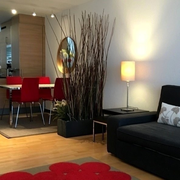 appartamento arredato di 2 ½ locali, foto 4 di 10