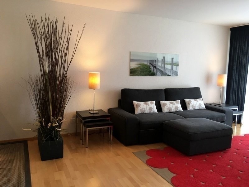 appartamento arredato di 2 ½ locali, foto 2 di 10