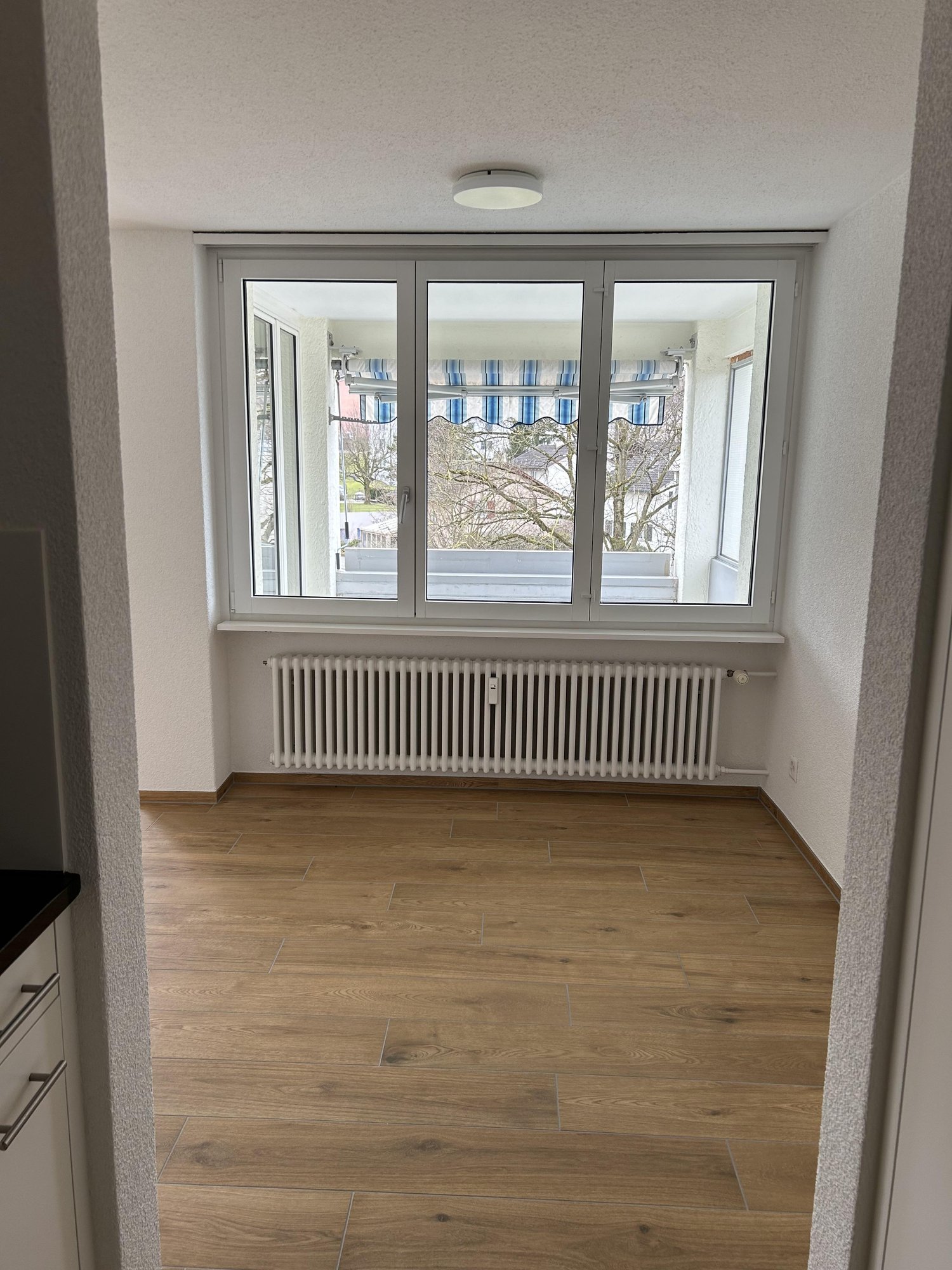 3 ½ rooms apartment