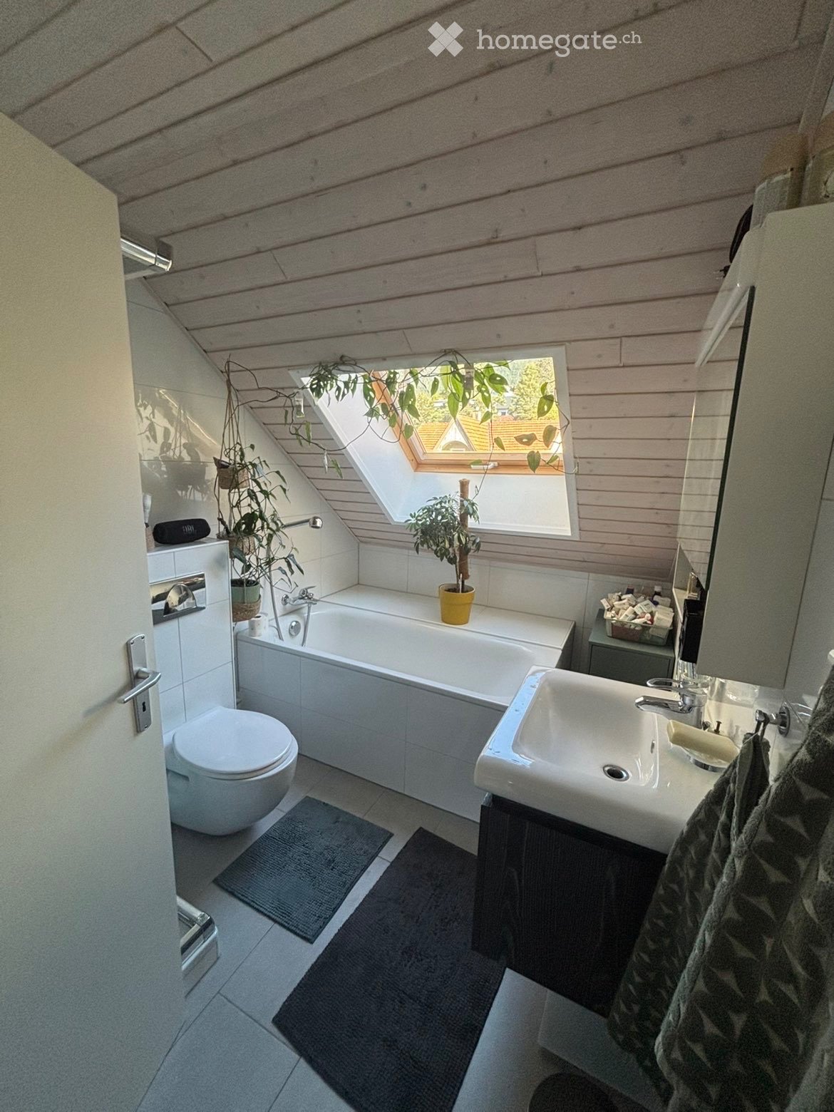 3 rooms apartment