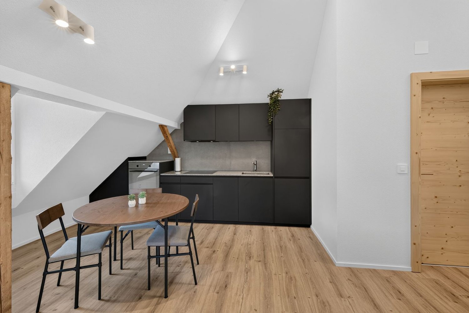 2 ½ rooms apartment