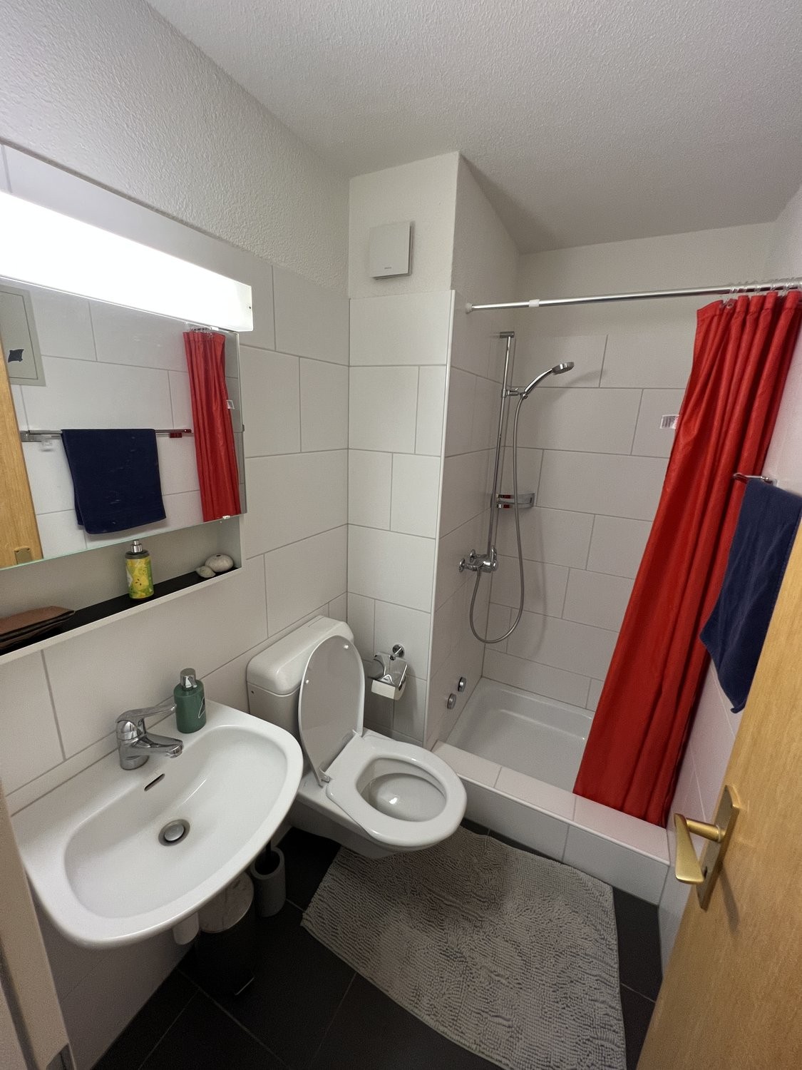 Appartamento arredato di 4 ½ locali