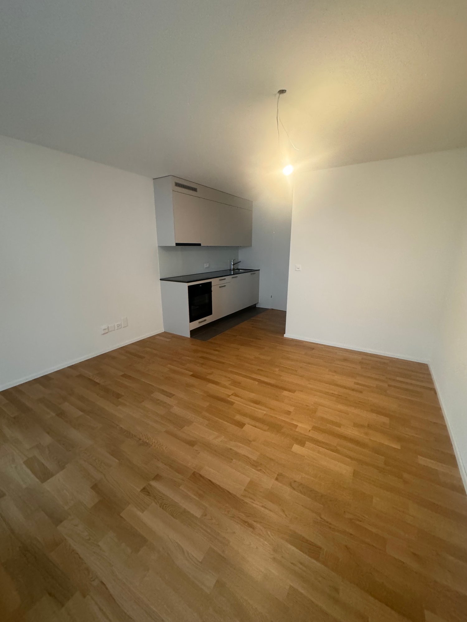 appartamento di 1 ½ locali, foto 1 di 7