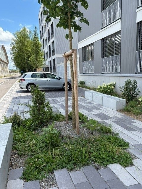 14m² locale hobby