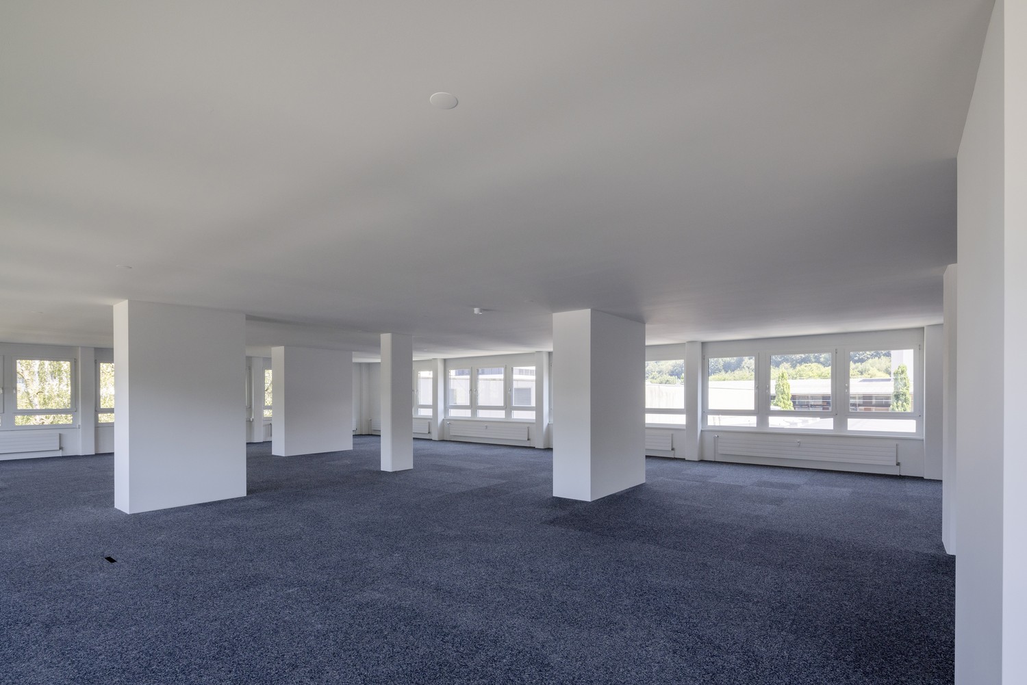 Bureau de 235m²