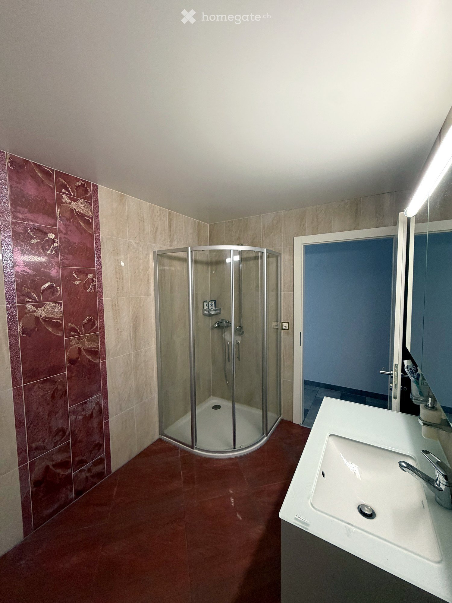 4 ½ Zimmer-Wohnung