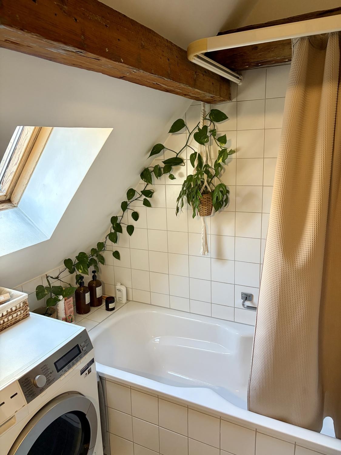 Appartamento di 2 ½ locali, foto 7 di 8