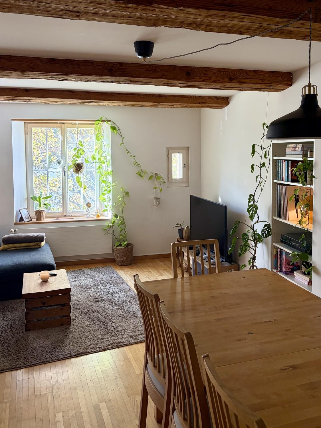 Appartamento di 2 ½ locali, foto 1 di 8