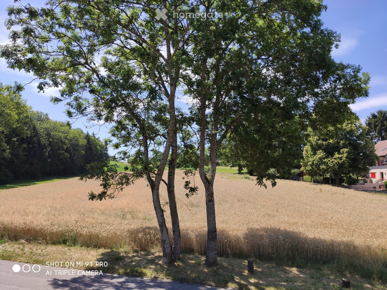 Appartamento di 2 ½ locali, foto 2 di 5