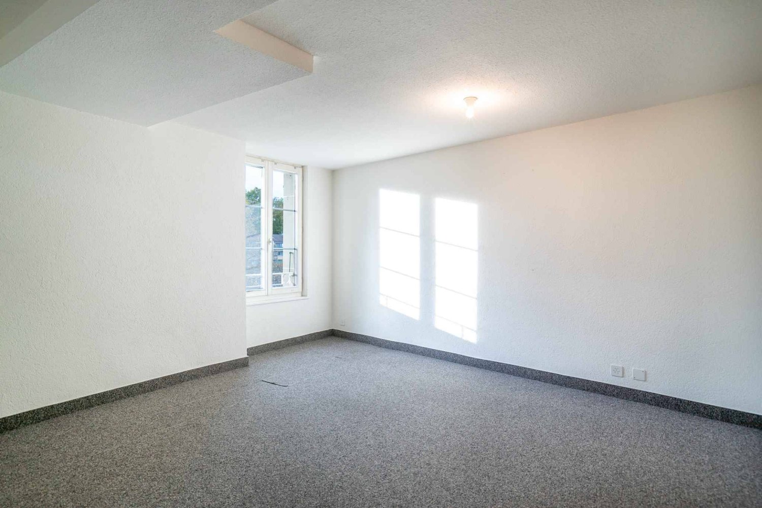 217m² Büro