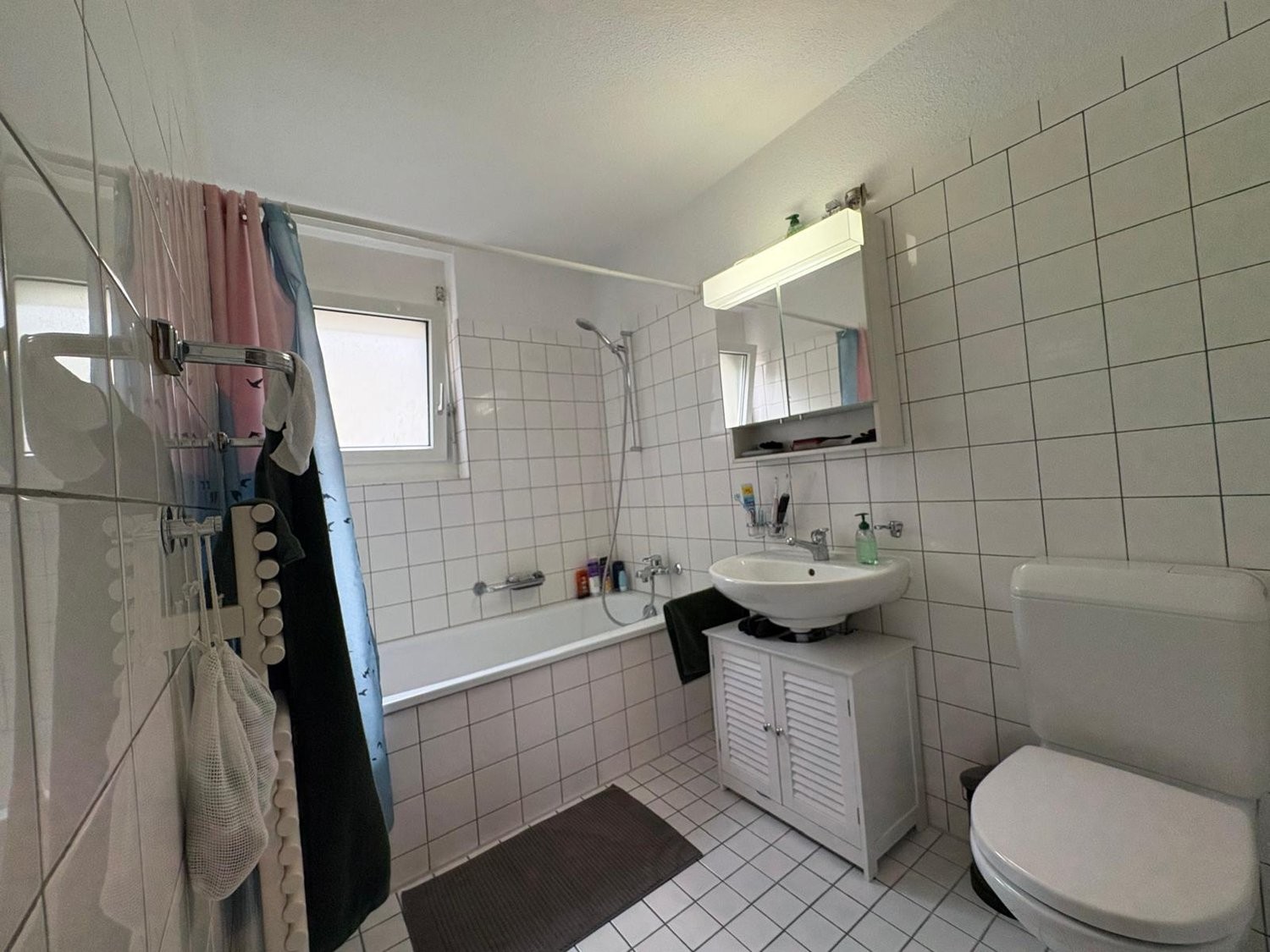 Appartamento arredato di 3 ½ locali, foto 6 di 8