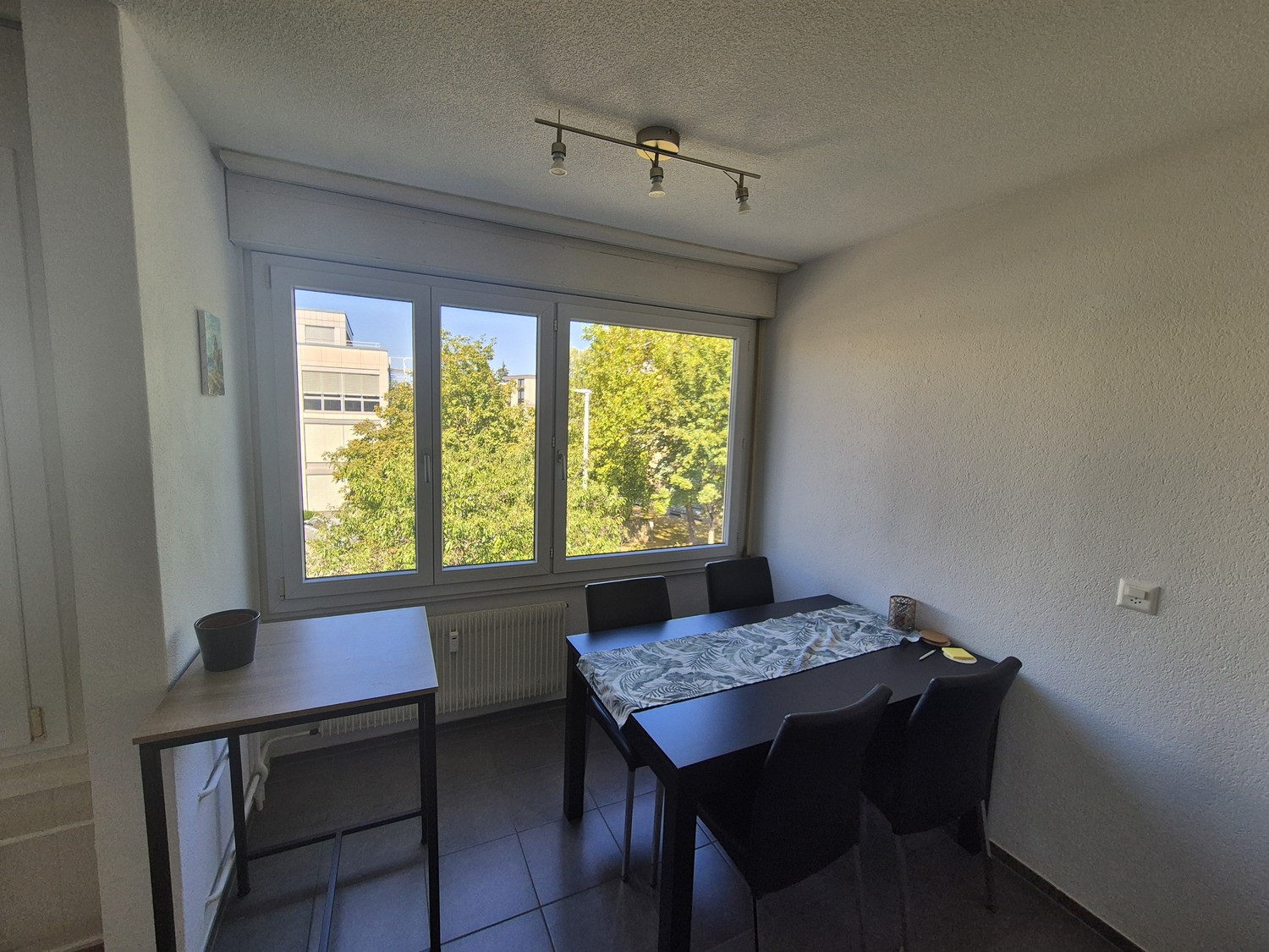 Appartement de 3 ½ pièces