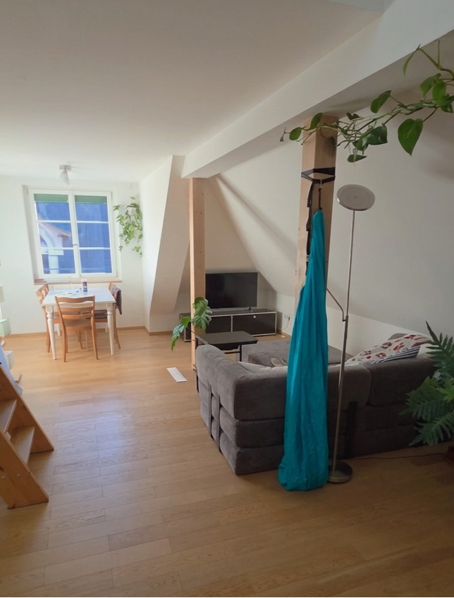 Appartamento di 1 ½ locali, foto 1 di 10
