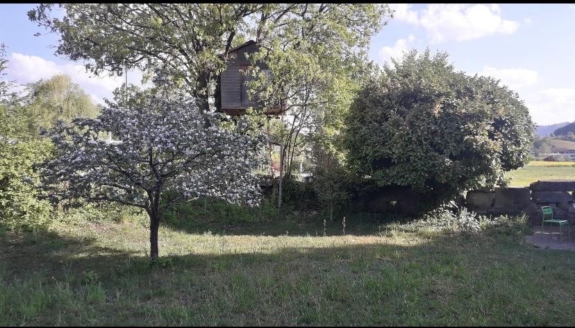 Appartamento di 2 ½ locali, foto 9 di 10
