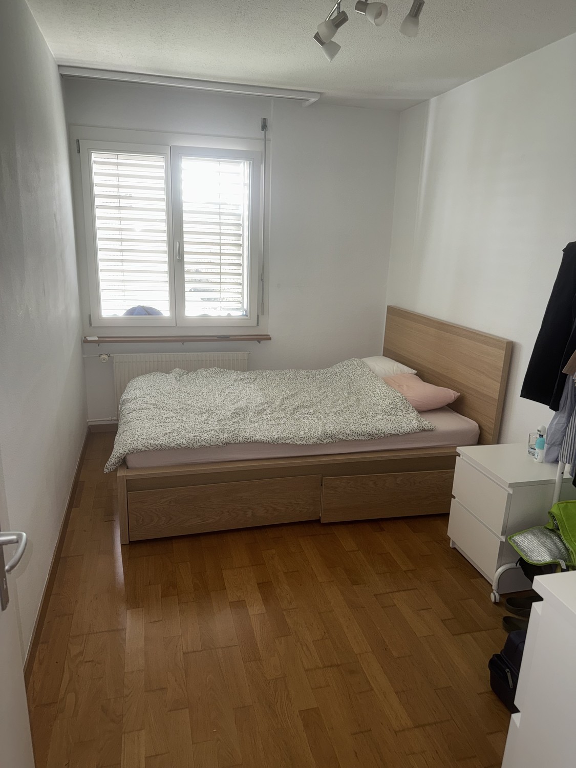 Room in a shared flat