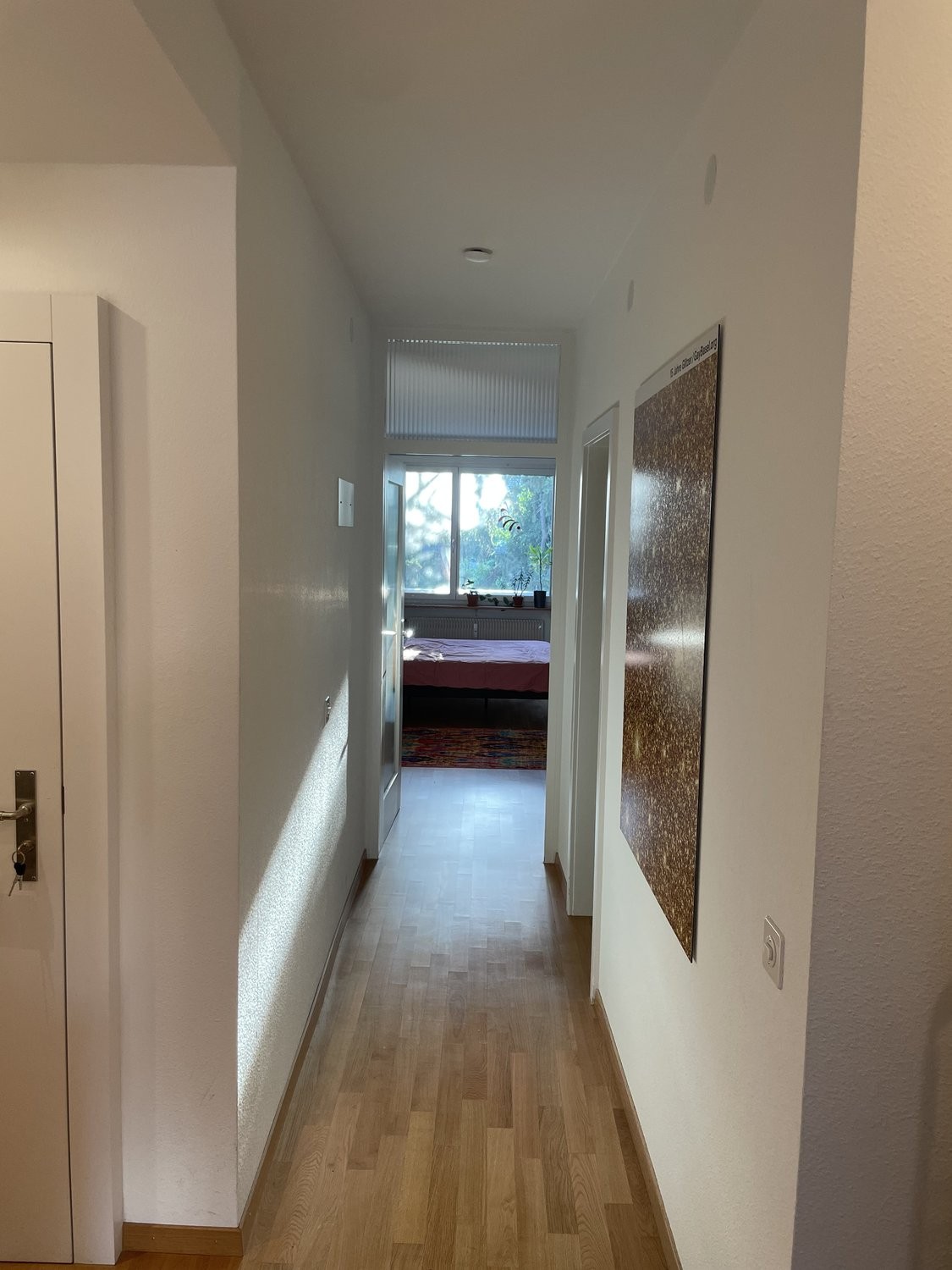 appartamento arredato di 2 ½ locali, foto 8 di 10