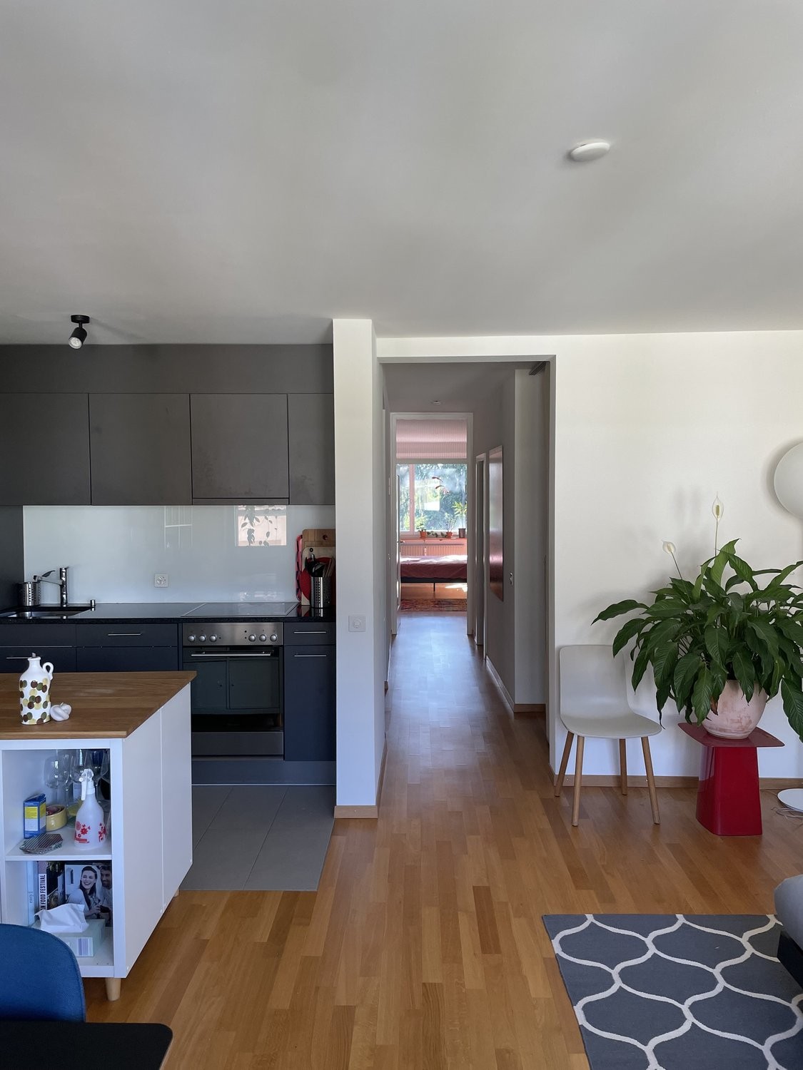 appartamento arredato di 2 ½ locali, foto 2 di 10