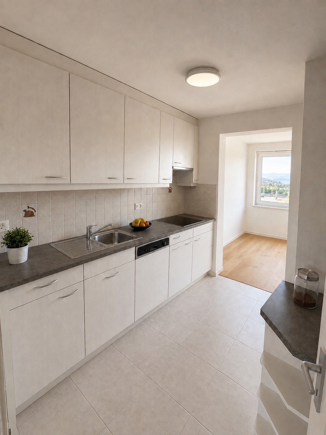 Appartement de 3 ½ pièces