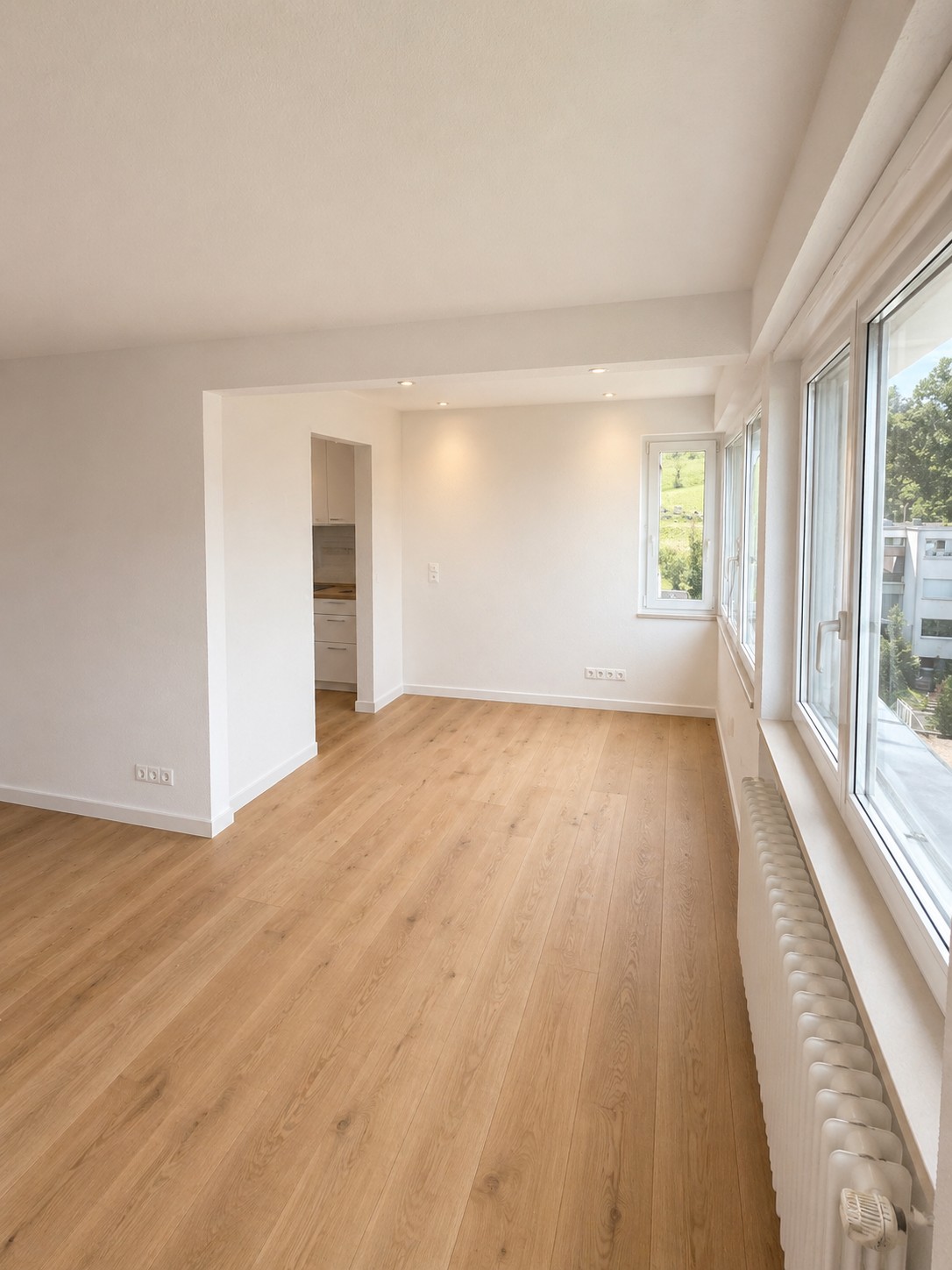 Appartement de 3 ½ pièces