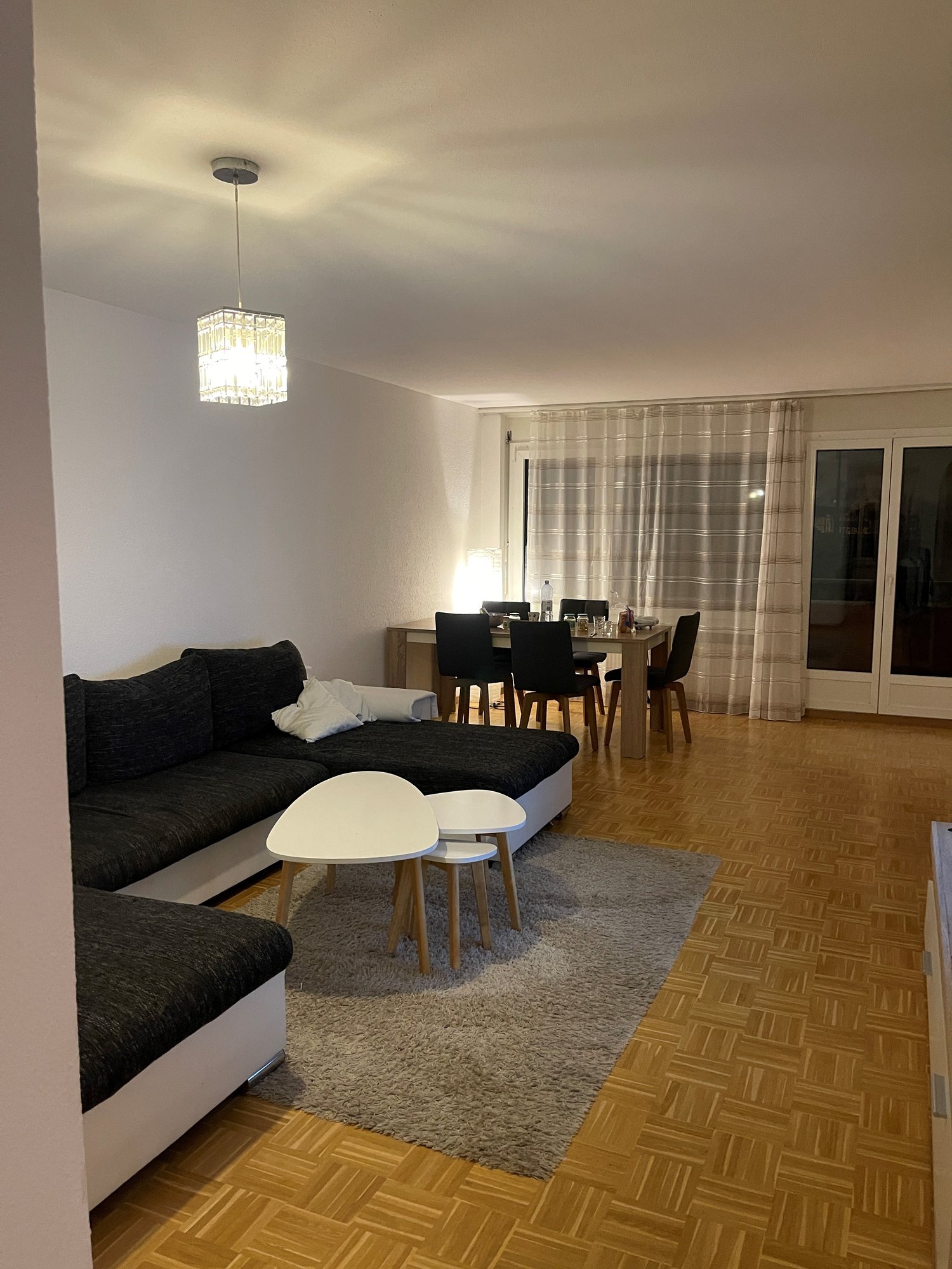Spazioso appartamento di 3 ½ locali, foto 4 di 7