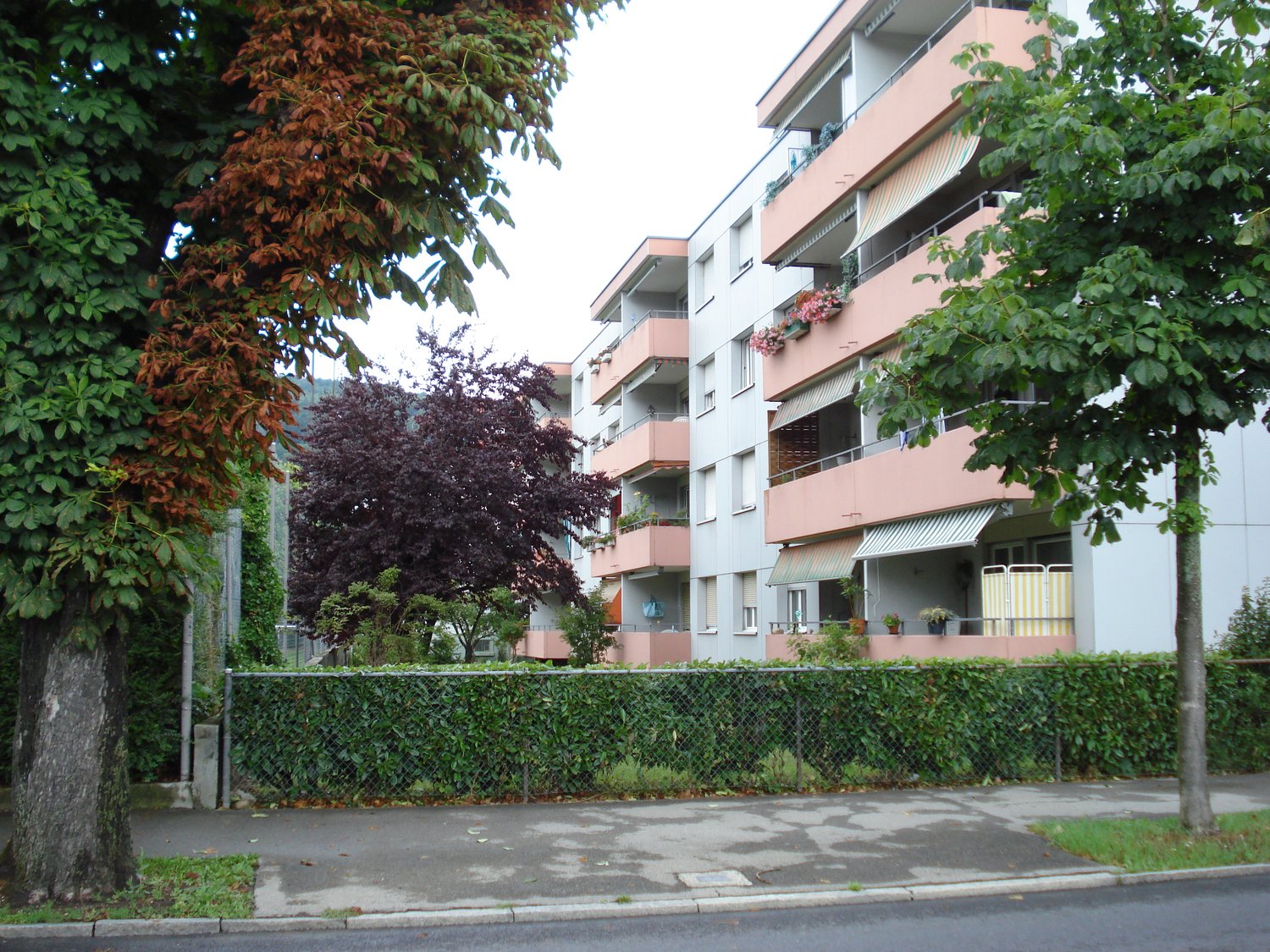 Spazioso appartamento di 3 ½ locali, foto 1 di 7