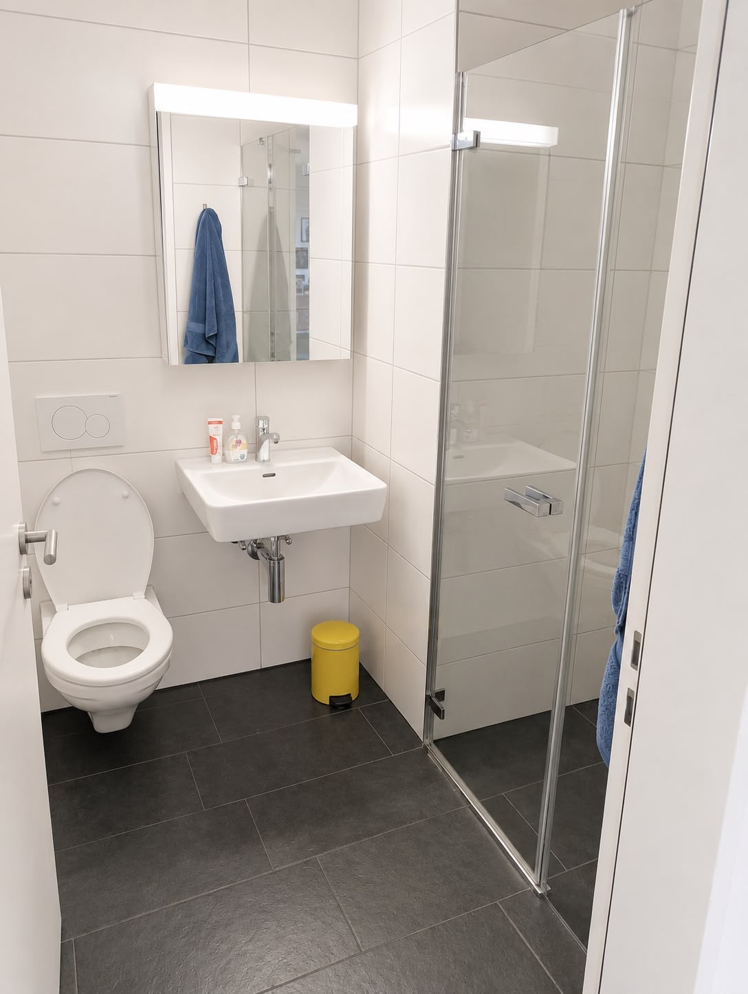 2 ½ rooms apartment