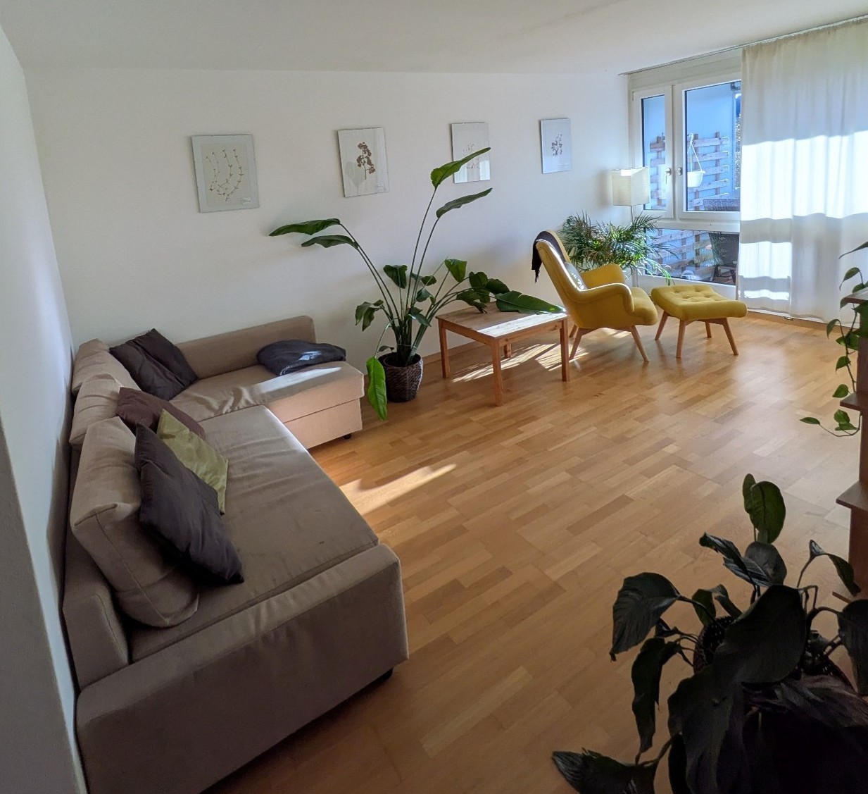 Appartamento di 2 ½ locali, foto 1 di 8